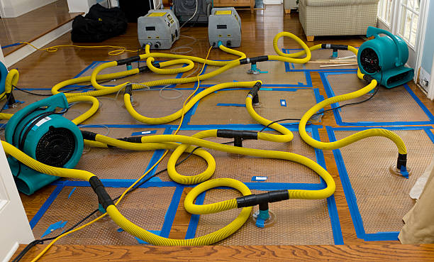 Professional Basement Flood Cleanup technician working in Hoyt Lakes, MN